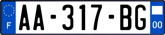 AA-317-BG