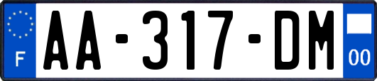 AA-317-DM