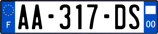 AA-317-DS