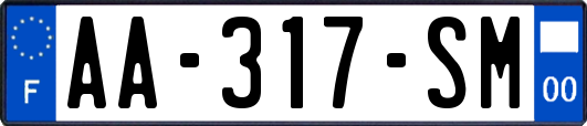 AA-317-SM