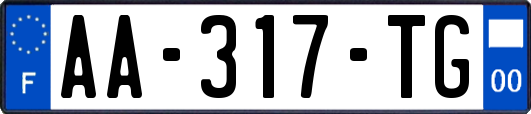 AA-317-TG