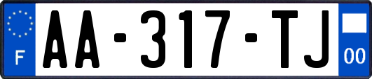 AA-317-TJ