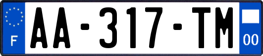 AA-317-TM