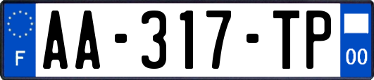 AA-317-TP