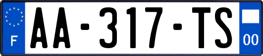 AA-317-TS