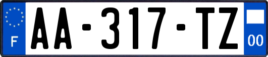 AA-317-TZ