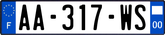 AA-317-WS