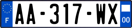 AA-317-WX