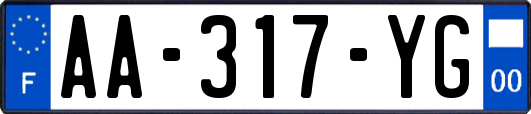 AA-317-YG