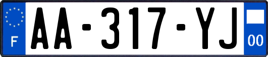 AA-317-YJ