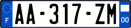 AA-317-ZM