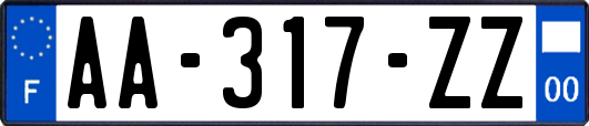 AA-317-ZZ