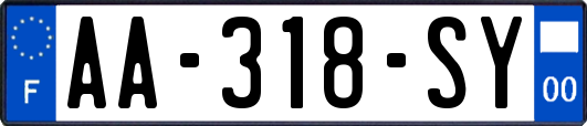 AA-318-SY