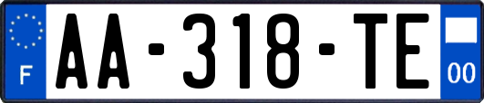 AA-318-TE