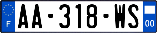 AA-318-WS