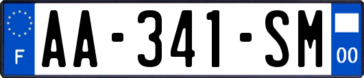 AA-341-SM