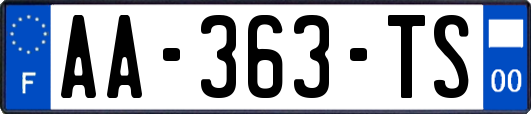 AA-363-TS