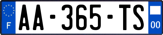 AA-365-TS