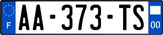 AA-373-TS