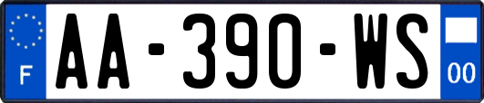 AA-390-WS