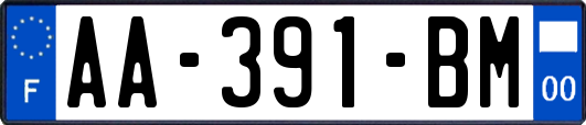 AA-391-BM