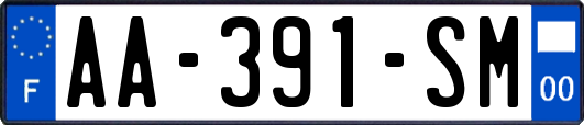 AA-391-SM