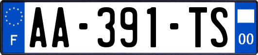 AA-391-TS