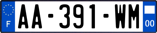 AA-391-WM