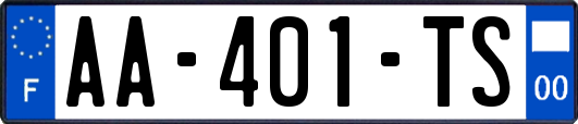 AA-401-TS