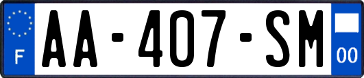 AA-407-SM