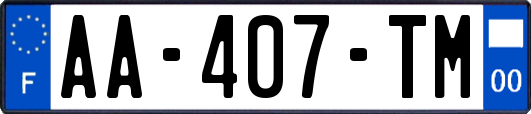 AA-407-TM