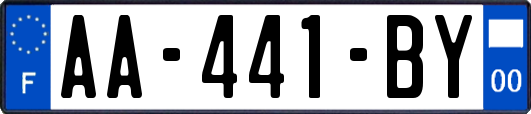 AA-441-BY