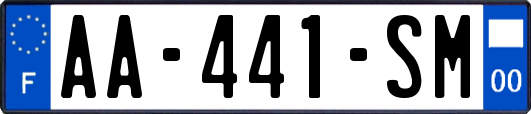 AA-441-SM