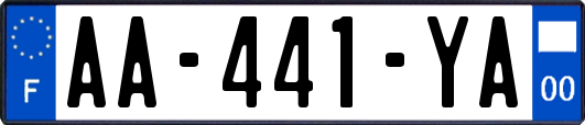 AA-441-YA