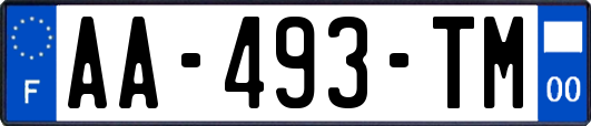 AA-493-TM