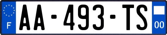 AA-493-TS