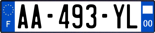 AA-493-YL