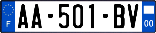 AA-501-BV