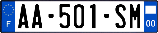 AA-501-SM