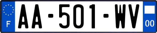 AA-501-WV