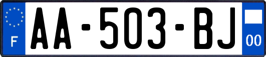 AA-503-BJ