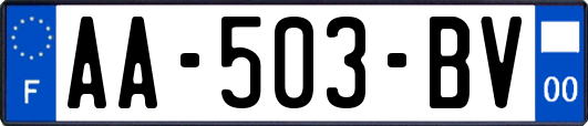 AA-503-BV