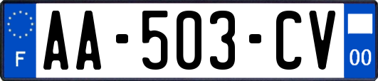 AA-503-CV