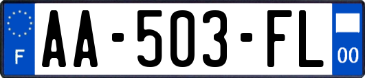 AA-503-FL