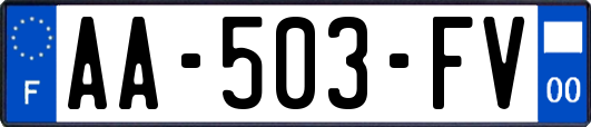 AA-503-FV