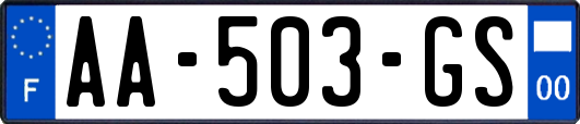 AA-503-GS