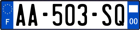 AA-503-SQ