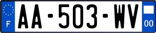 AA-503-WV