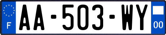 AA-503-WY