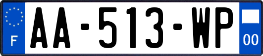 AA-513-WP